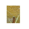 ΟΜΠΡΕΛΑ ΨΑΘΑΣ SEAGRASS - SOL