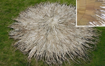 ANTΑΛΛΑΚΤΙΚΟ ΚΑΛΥΜΜΑ ΦΟΙΝΙΚΟΦΥΛΛΟ ΡΑΦΤΟ ΣΤΡΟΓΓΥΛΟ 100% ΚΑΛΥΨΗ