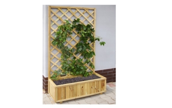 ΖΑΡΝΤΙΝΙΕΡΑ ΜΕ ΚΑΦΑΣΩΤΟ