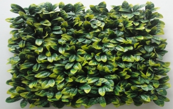 ΦΥΛΛΩΣΙΑ ΠΛΑΚΙΔΙΟ ΣΕΦΛΕΡΑ 