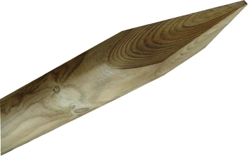 ΚΟΡΜΟΣ ΤΟΡΝΟΥ O4 | O5