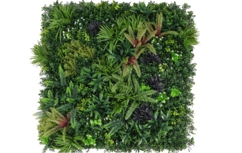 ΦΥΛΛΩΣΙΑ FERN MIX ΣΕ ΠΛΑΚΙΔΙΟ ΚΟΥΜΠΩΤΟ