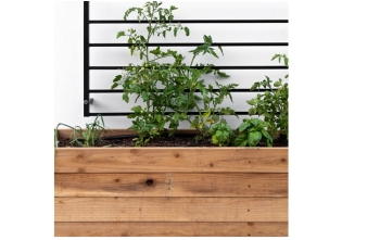 ΖΑΡΝΤΙΝΙΕΡΑ ΠΑΡΑΛΛΗΛΟΓΡΑΜΜΗ - ΣΑΝΙΔΑ 20x70mm