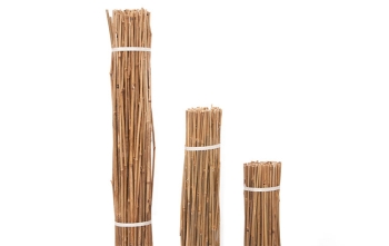 ΚΑΛΑΜΙΑ BAMBOO ΦΥΤΩΡΙΟΥ O16-20mm & 22-26mm