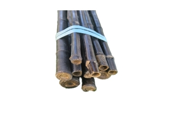 ΚΑΛΑΜΙΑ BAMBOO ΦΥΤΩΡΙΟΥ ΜΑΥΡΑ ΔΕΜΑ 10ΤΜΧ O20-25mm