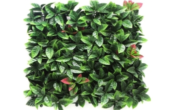 ΦΥΛΛΩΣΙΑ ΠΛΑΚΑΚΙ ΦΩΤΕΙΝΙΑ ΘΑΜΝΟΣ 50x50cm ΑΠΟΛΥΤΗΣ ΚΑΛΥΨΗΣ