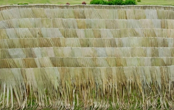 ANTAΛΛΑΚΤΙΚΟ ΚΑΛΥΜΜΑ ΦΟΙΝΙΚΟΦΥΛΛΟ ΠΑΡΑΛΛΗΛΟΓΡΑΜΜΟ ΡΑΦΤΟ