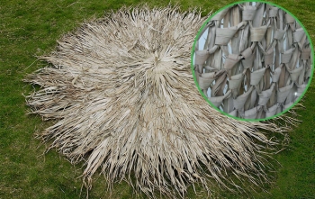 ΦΟΙΝΙΚΟΦΥΛΛΟ ΚΑΛΥΜΜΑ ΟΜΠΡΕΛΑΣ ΠΛΕΚΤΟ O210cm