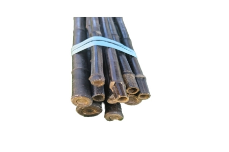 ΚΑΛΑΜΙΑ BAMBOO ΦΥΤΩΡΙΟΥ ΜΑΥΡΑ ΔΕΜΑ 10ΤΜΧ O20-25mm