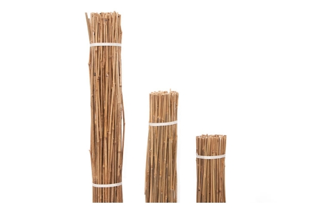 ΙΣΤΟΙ ΒΑΜΒΟΟ / BAMBOO ΦΥΤΩΡΙΟΥ O30-34mm