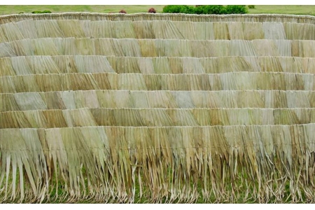 ANTAΛΛΑΚΤΙΚΟ ΚΑΛΥΜΜΑ ΦΟΙΝΙΚΟΦΥΛΛΟ ΠΑΡΑΛΛΗΛΟΓΡΑΜΜΟ ΡΑΦΤΟ