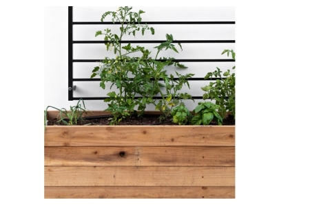 ΖΑΡΝΤΙΝΙΕΡΑ ΠΑΡΑΛΛΗΛΟΓΡΑΜΜΗ - ΣΑΝΙΔΑ 20x70mm