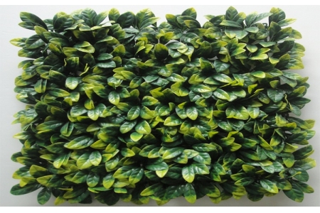 ΦΥΛΛΩΣΙΑ ΠΛΑΚΙΔΙΟ ΣΕΦΛΕΡΑ